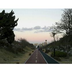 Road passing through trees