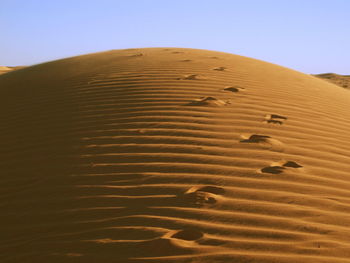 Sand dunes in desert against clear sky