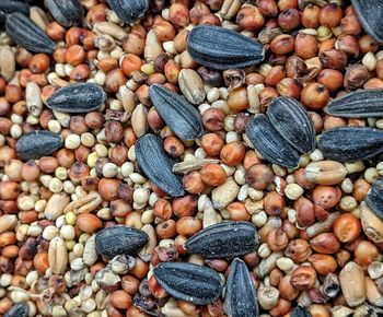 Full frame shot of seeds