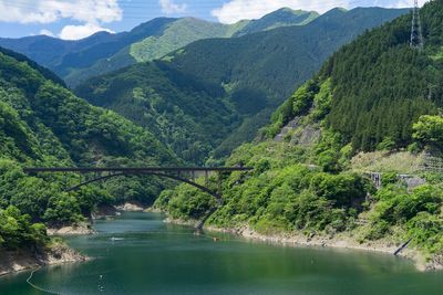 Scenic view of river amidst trees in forest