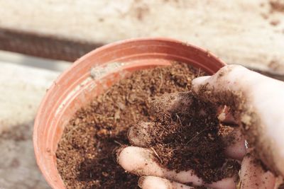 Cropped hand with dirt in pot