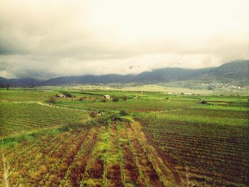 Scenic view of field against cloudy sky