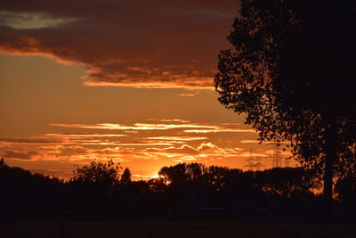 Silhouette trees against sky during sunset