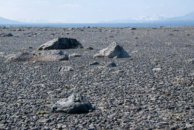 Aerial view of landscape