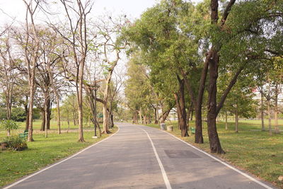 Empty road along trees