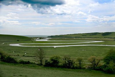 Scenic view of field against sky