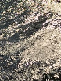 Full frame shot of trees on field