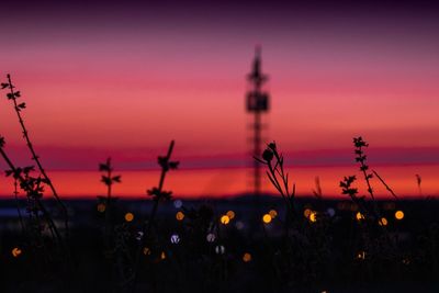Silhouette plants against sky at sunset