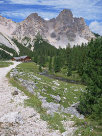 mountain
