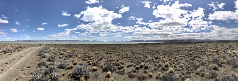 Viedma lake and steppe