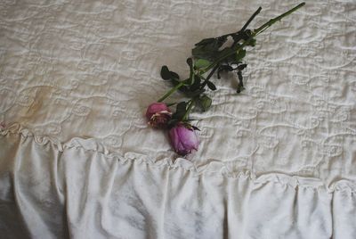 Close-up of white roses on bed