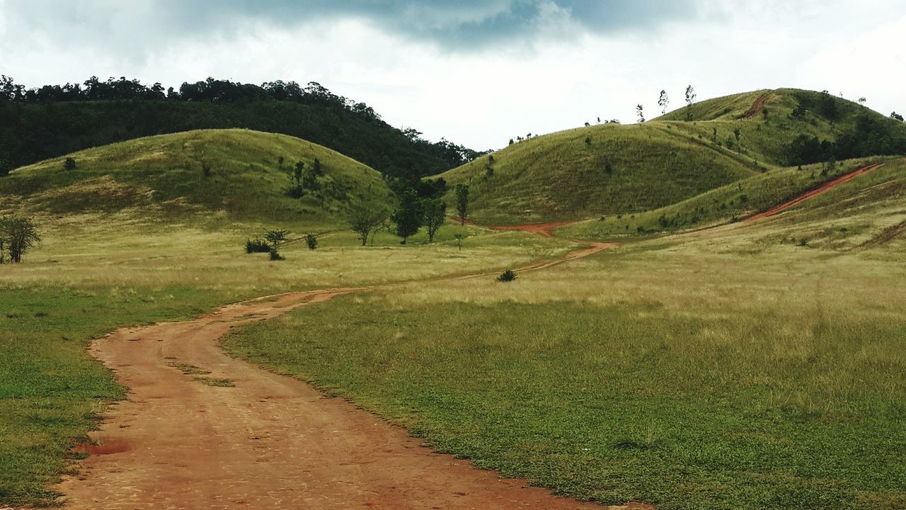 landscape, grass, mountain, sky, the way forward, tranquil scene, tranquility, road, scenics, green color, nature, beauty in nature, field, transportation, animal themes, non-urban scene, dirt road, cloud - sky, country road, mountain range