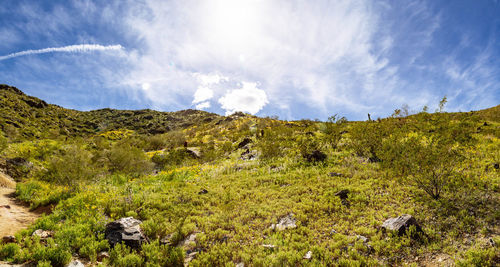 Panoramic view of landscape against sky
