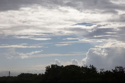 Low angle view of trees against sky