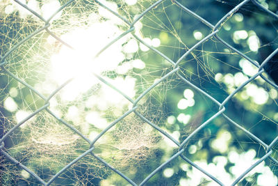 Close-up of chainlink fence
