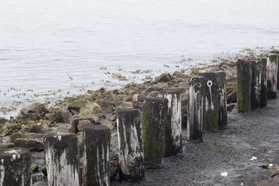 Wooden posts on beach