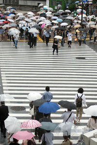 Group of people crossing street in rain