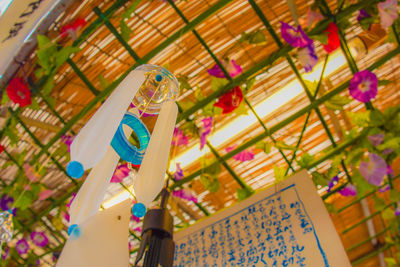 Low angle view of parrot on ceiling at home