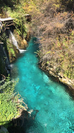 High angle view of river amidst trees in forest