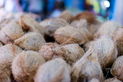 Close-up of dry for sale in market