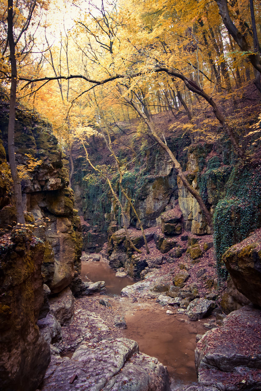 VIEW OF STREAM FLOWING THROUGH ROCKS