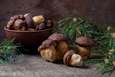 Close-up of mushrooms growing on table