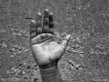 Hand of person on field