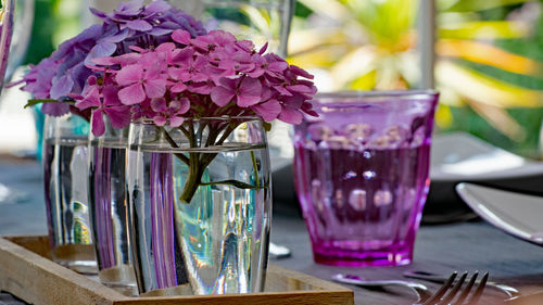 Close-up of purple flower in glass on table