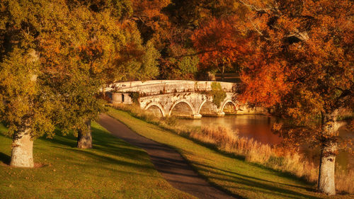 Arch bridge over river during autumn