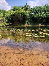 Scenic view of lake