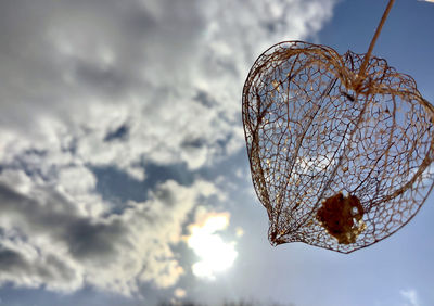 Low angle view of insect on frozen tree against sky