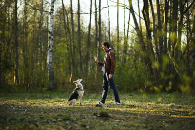 Full length of a dog in the forest