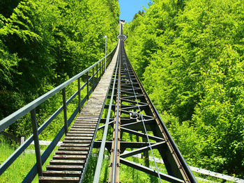 Railroad track amidst trees