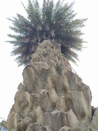 Low angle view of statue of palm tree against clear sky