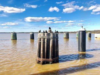 Wooden posts in sea against sky