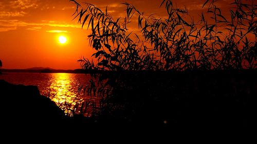 Scenic view of sea against orange sky