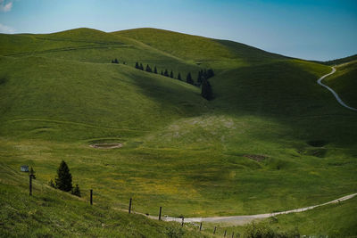 Scenic view of green landscape against sky