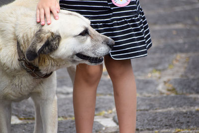 Midsection of woman with dog standing outdoors