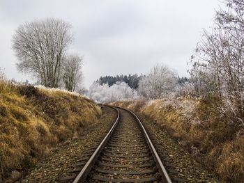 Railroad tracks amidst trees against sky