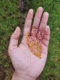 Close-up of hand holding leaf on field