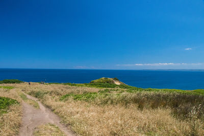 Hiking track at phillip island on a sunny day