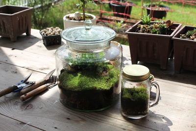 Terrarium in glass jar on wooden table