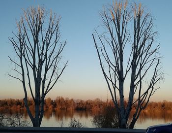 Bare tree by lake against sky during sunset