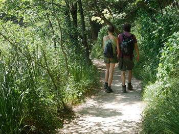 Rear view of couple walking on footpath in forest