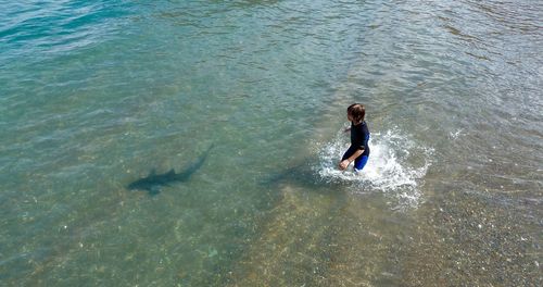 High angle view of person swimming in sea