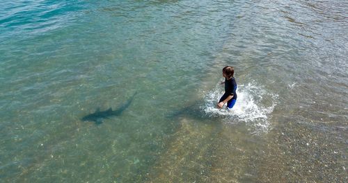 High angle view of boy standing in river