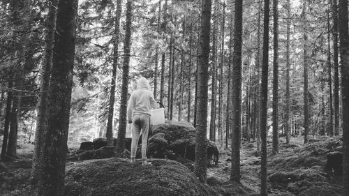 Rear view of girl in in a forest