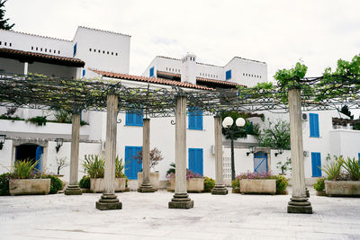 Plants growing by building against sky