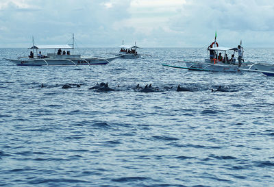 People watching dolphins swimming in sea against sky