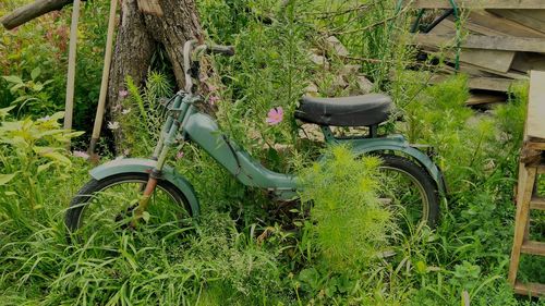 Bicycle parked on field